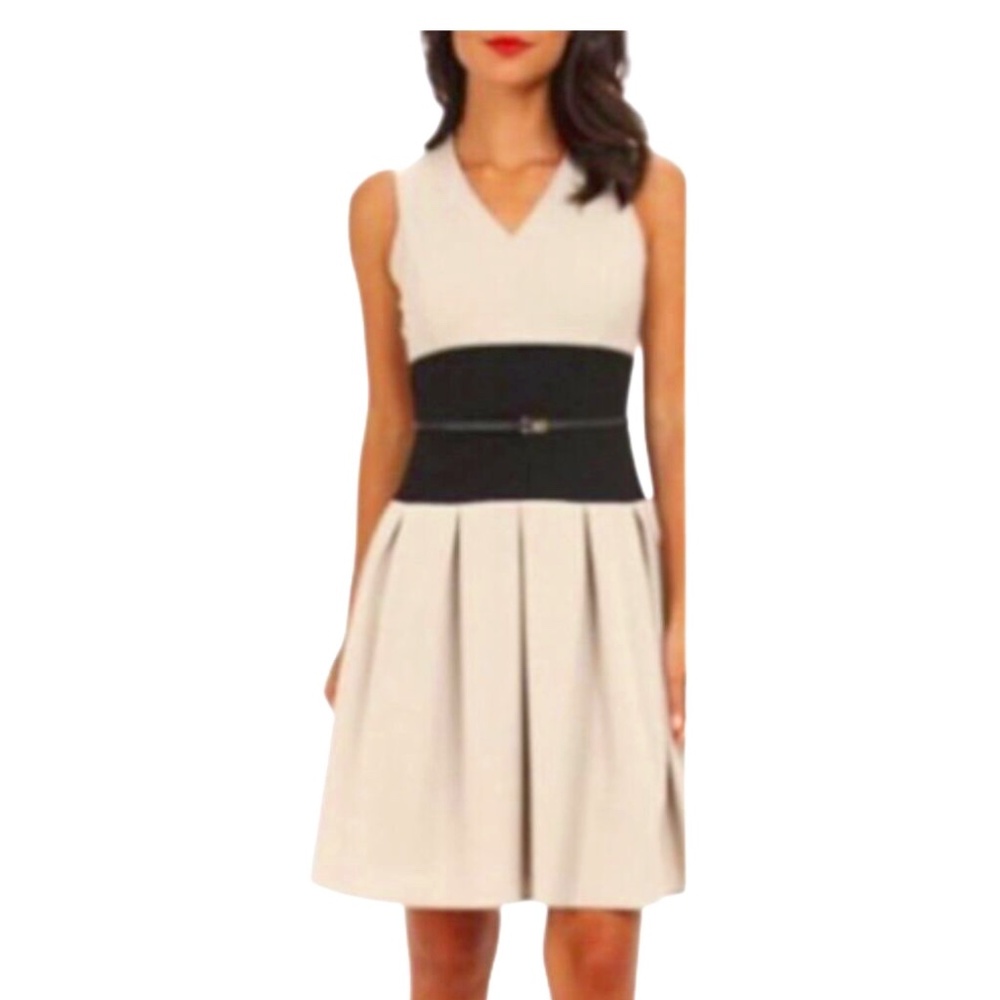 Calvin Klein Taupe and Black Dress